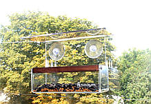 Годівниця для птахів віконна "Лоджія" у подарунковій упаковці і корм, фото 2