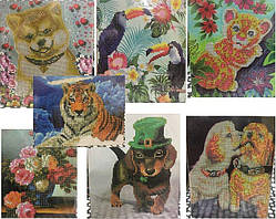 Набір для творчості зі стразами на картоні 5D, 21x25см