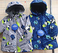 Демисезонная термо куртка ветровка для мальчика Lassie оптом (92-116р)