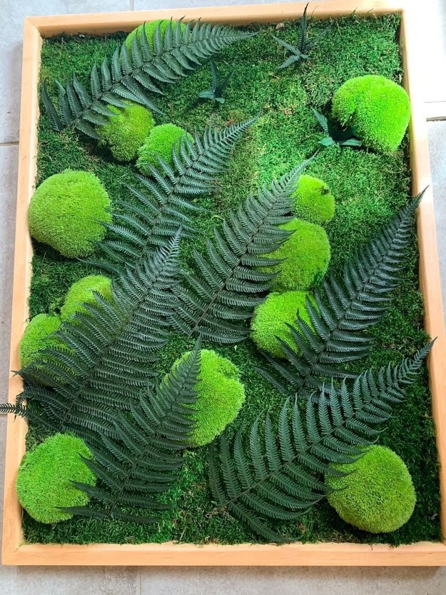 Картина з моху стабілізованого