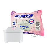 B25 (MG) Картридж Аквафор Максфор В100-25 з магнієм - 1 шт., фото 3