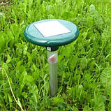 Відлякувач кротів на сонячній батареї, фото 5