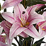 Штучна лілія тигрова ніжно-рожевого кольору, фото 5