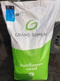 Насіння соняшнику Арден Євролайтінг, фото 1