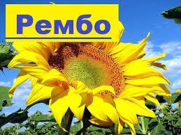 Насіння соняшника Рембо Екстра 10кг Шумейко Під Гранстар 2020р.у.