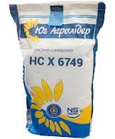 Насіння соняшнику НС-Х 6749 Під Гранстар