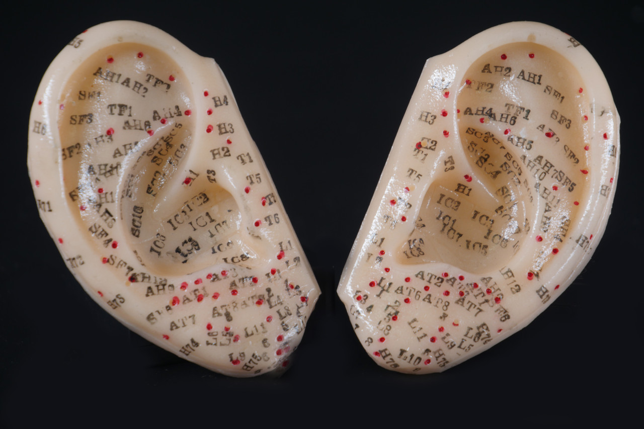 Макет вуха 2 шт. 8 см, фото 1