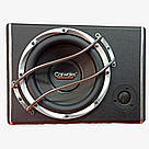 Сабвуфер з підсилювачем в машину,Активний авто сабвуфер,Автомобільний сабвуфер,сабвуфер,акустика в авто, фото 3