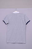 Лп-241Теніска - поло, футболка для хлопчика Білий з синім, розмір 170 - 176, фото 2