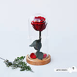Довговічна червона троянда на стеблі в колбі, фото 4