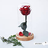 Довговічна червона троянда на стеблі в колбі, фото 6