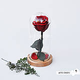 Довговічна червона троянда на стеблі в колбі, фото 5