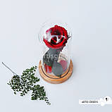 Довговічна червона троянда на стеблі в колбі, фото 7