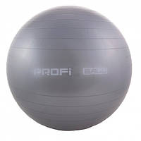 Фітбол м'яч для фітнесу Profi Ball 75 см посилений 0383 Gray (SHiz12549)