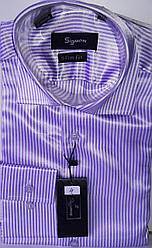 Чоловіча сорочка Sig Men vd-0004 рожева приталені в смужку з довгим рукавом XXL