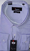 Мужская рубашка Sig Men vd-0028 серая в полоску приталенная с длинным рукавом