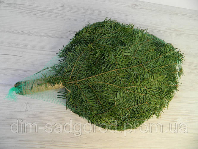 Веник пихта карпатская для бани и сауны 52см (ID#1373071555), цена: 95 ...