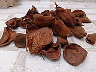 Сухоцвет бадама, натуральный цвет 4-7 см 20 шт
