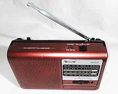 Приймач Golon RX 6030 usb charge 18650