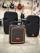 Двосмугова активна АС з акумулятором Clarity MAX6W, фото 4