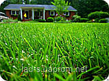 Газонна трава для ландшафтного дизайну 20кг., фото 10