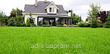 Газонна трава для ландшафтного дизайну 20кг., фото 3