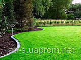 Газонна трава для ландшафтного дизайну 20кг., фото 9