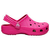 Крокси дитячі сабо Рален оригінал / Crocs Kids Ralen Clog (15908), Малинові, фото 4