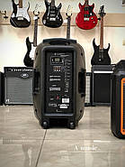 Активна акустична система Clarity MAX12MBAW-U, фото 5