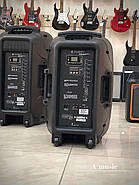 Активна акустична система Clarity MAX12MBAW-U, фото 2