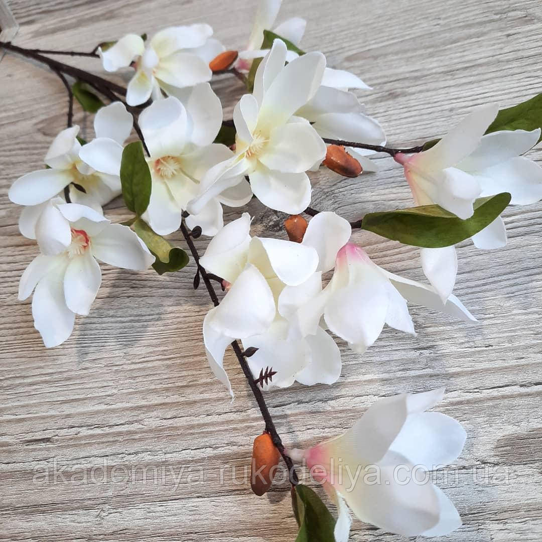 Гілка магнолії білої — 90 см, фото 1