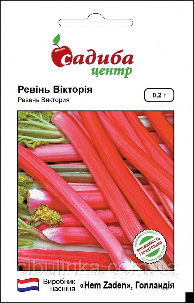 Насіння Ревінь Черешковий Вікторія Садиба центр 0.2 г, фото 1