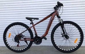 Гірський велосипед Mbike Zeta 26 (2021) сталь