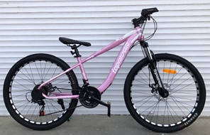Гірський велосипед Mbike Zeta 26 (2021) сталь