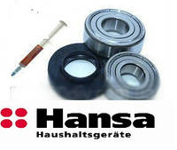 Комплект подшипников 6205-2Z, 6206 2Z и сальник  35х65.55х10/12 и смазка для Hansa 5/6 кг