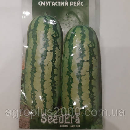 Насіння Кавун Смугастий рейс 1 грам SeedEra, фото 1