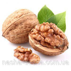 Грецький горіх Додо щеплений
