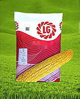 Гибрид кукурузы ЛГ 30360 Лимагрейн ФАО 340