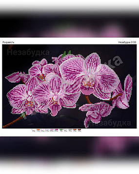 Схема для вишивання бісером — Яскравість