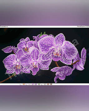 Схема для вишивання бісером — Яскравість орхідеї