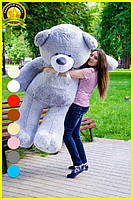 Плюшевий ведмедик М'яка іграшка Ветли 160 см Сірий, фото 2
