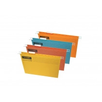 Підвісний файлА4 Economix, А4, картонні E30202( асорті кольору на сайті )