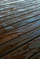 ТермоЯсень