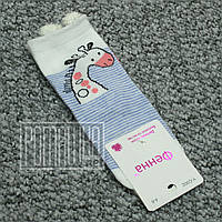 Дитячі шкарпетки весна осінь 12 см 1-3 роки (4-6) щільні весняні осінні демісезонні для хлопчика 8056