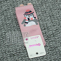 Дитячі шкарпетки весна осінь 12 см 1-3 роки (4-6) щільні весняні осінні демісезонні для дівчинки 8056 Рожевий