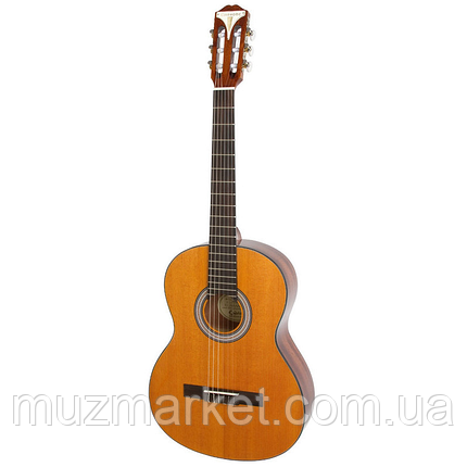 Гітара акустична EPIPHONE PRO-1 CLASSIC 1.75, фото 2