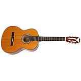 Гітара акустична EPIPHONE PRO-1 CLASSIC 1.75, фото 3