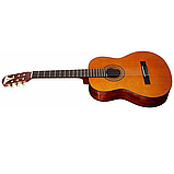 Гітара акустична EPIPHONE PRO-1 CLASSIC 1.75, фото 4