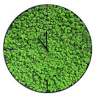 Часы со стабилизированным мхом, в металлическом корпусе. SO Green, диаметр 30 см