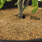 Кришка на 10л GrowBag з кокосового волокна 23 см, фото 2
